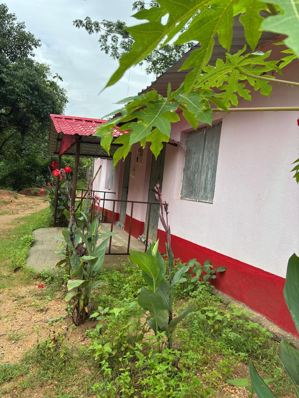 Room with Garden View